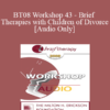 [Audio Only] BT08 Workshop 43 - Brief Therapies with Children of Divorce: Before