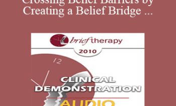 [Audio] BT10 Clinical Demonstration 08 - Crossing Belief Barriers by Creating a Belief Bridge - Robert Dilts