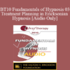 [Audio] BT10 Fundamentals of Hypnosis 03 - Treatment Planning in Ericksonian Hypnosis: The Class of Problems/Class of Solutions Model - Bill O’Hanlon