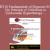 [Audio] BT10 Fundamentals of Hypnosis 04 - The Principle of Utilization in Ericksonian Hypnotherapy - Stephen Gilligan