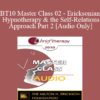 [Audio] BT10 Master Class 02 - Ericksonian Hypnotherapy and the Self-Relations Approach Part 2 - Stephen Gilligan