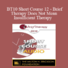 [Audio] BT10 Short Course 12 - Brief Therapy Does Not Mean Insufficient Therapy - Virgil Hayes