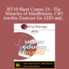 [Audio] BT10 Short Course 24 - The Miracles of Mindfulness