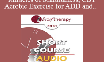 [Audio] BT10 Short Course 24 - The Miracles of Mindfulness
