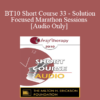 [Audio] BT10 Short Course 33 - Solution-Focused Marathon Sessions - Michael Reiter