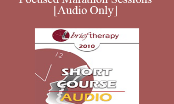 [Audio] BT10 Short Course 33 - Solution-Focused Marathon Sessions - Michael Reiter