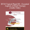 [Audio] BT10 Topical Panel 09 - Essential Aspects of Brief Therapy - Steve Andreas