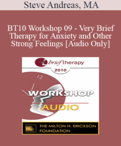 [Audio] BT10 Workshop 09 - Very Brief Therapy for Anxiety and Other Strong Feelings - Steve Andreas
