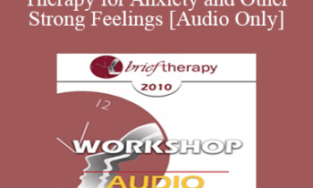 [Audio] BT10 Workshop 09 - Very Brief Therapy for Anxiety and Other Strong Feelings - Steve Andreas