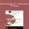 [Audio] BT10 Workshop 15 - “What Works” in Therapy: Translating 40 years of Outcome Research into Strategies for Effective Clinical Practice - Scott Miller