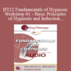 [Audio] BT12 Fundamentals of Hypnosis Workshop 01 - Basic Principles of Hypnosis and Induction - Brent Geary