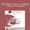 [Audio] BT12 Short Course 38 - Building Cultures of Excellence: Strategies to Improve Therapeutic Outcomes in Agencies - Bob Bertolino