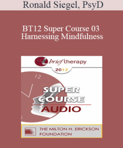 [Audio] BT12 Super Course 03 - Harnessing Mindfulness: Tailoring the Practice to the Problem - Ronald Siegel