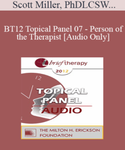 [Audio] BT12 Topical Panel 07 - Person of the Therapist - Scott Miller