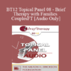 [Audio] BT12 Topical Panel 08 - Brief Therapy with Families and Couples - Ellyn Bader