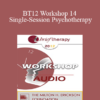 [Audio] BT12 Workshop 14 - Single-Session Psychotherapy: Enhancing One-Meeting Potentials - Michael Hoyt