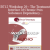 [Audio] BT12 Workshop 20 - The Treatment Interface of Chronic Pain and Substance Dependency - Roxanna Erickson-Klein