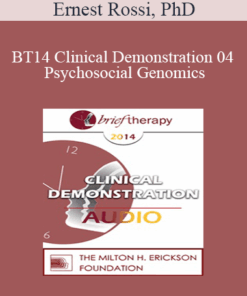 [Audio] BT14 Clinical Demonstration 04 - Psychosocial Genomics: Utilizing the 4-Stage Creative Process Treating Anxiety