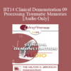 [Audio] BT14 Clinical Demonstration 09 - Processing Traumatic Memories - Bessel van der Kolk