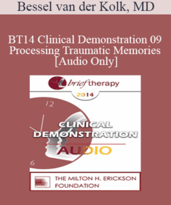 [Audio] BT14 Clinical Demonstration 09 - Processing Traumatic Memories - Bessel van der Kolk