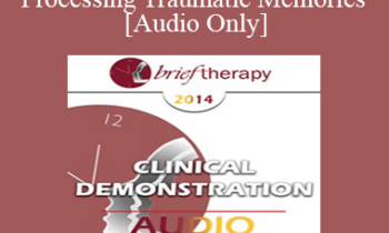 [Audio] BT14 Clinical Demonstration 09 - Processing Traumatic Memories - Bessel van der Kolk