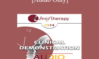 [Audio] BT14 Conversation Hour 01 - Bessel van der Kolk