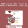 [Audio] BT14 Law and Ethics - What's the Future & Where to Fit - Steven Frankel