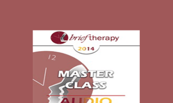[Audio] BT14 Master Class - Jeffrey Zeig