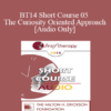 [Audio] BT14 Short Course 05 - The Curiosity Oriented Approach - Richard Hill