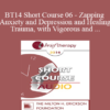 [Audio] BT14 Short Course 06 - Zapping Anxiety and Depression and Healing Trauma