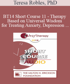 [Audio] BT14 Short Course 11 - Therapy Based on Universal Wisdom for Treating Anxiety
