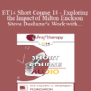 [Audio] BT14 Short Course 18 - Exploring the Impact of Milton Erickson and Steve Deshazer's Work with Regard to Depression