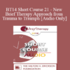 [Audio] BT14 Short Course 21 - New Brief Therapy Approach from Trauma to Triumph - John Lentz