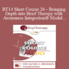 [Audio] BT14 Short Course 26 - Bringing Depth into Brief Therapy with Awareness Integration® Model - Foojan Zeine