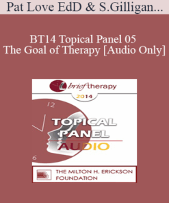 [Audio] BT14 Topical Panel 05 - The Goal of Therapy - Pat Love EdD