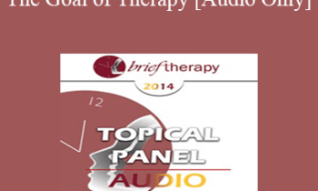 [Audio] BT14 Topical Panel 05 - The Goal of Therapy - Pat Love EdD