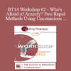 [Audio] BT14 Workshop 02 - Who's Afraid of Anxiety? Two Rapid Methods Using Unconscious Sensory Parameters - Steve Andreas