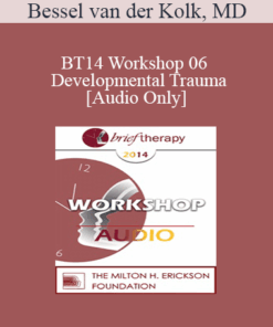 [Audio] BT14 Workshop 06 - Developmental Trauma - Bessel van der Kolk