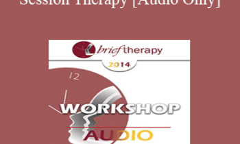[Audio] BT14 Workshop 12 - Single Session Therapy - Michael Hoyt