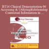 [Audio] BT16 Clinical Demonstration 06 - Accessing & Utilizing Relationship and Contextual Information in Brief Therapy - Wendel Ray