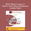 [Audio] BT16 Short Course 11 - Short Cuts to Stress Reduction - Helen Adrienne