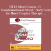 [Audio] BT16 Short Course 13 - Transformational Mind / Body Tools for Brief Couples Therapy - Sheldon Kramer