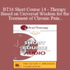 [Audio] BT16 Short Course 14 - Therapy Based on Universal Wisdom for the Treatment of Chronic Pain - Teresa Robles