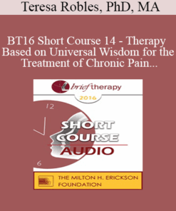 [Audio] BT16 Short Course 14 - Therapy Based on Universal Wisdom for the Treatment of Chronic Pain - Teresa Robles