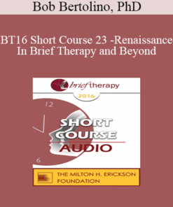 [Audio] BT16 Short Course 23 - Renaissance In Brief Therapy and Beyond: Exploring Intersections of Possibility - Bob Bertolino