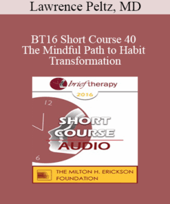 [Audio] BT16 Short Course 40 - The Mindful Path to Habit Transformation: A Four Quadrant Model - Lawrence Peltz