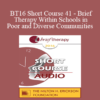 [Audio] BT16 Short Course 41 - Brief Therapy Within Schools in Poor and Diverse Communities - Karin Schlanger