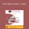 [Audio] BT16 Short Course 6 - Relax: Say Goodbye to Anxiety and Pain - Patrick McCarthy