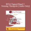 [Audio] BT16 Topical Panel 3 - Training Therapists - Stephen Gilligan