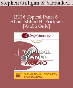 [Audio] BT16 Topical Panel 6 - About Milton H. Erickson - Stephen Gilligan